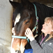 kate holding a hores with a head collar